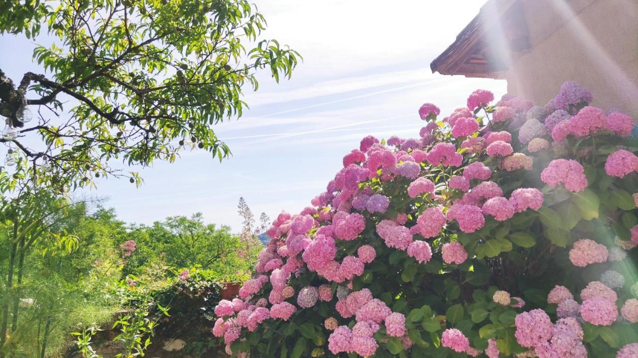 Bed and Breakfast La Fontaine Du Mas Thiviers Zewnętrze zdjęcie